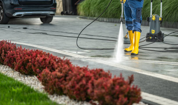 Best Roof Pressure Washing  in Chesterfield, IN